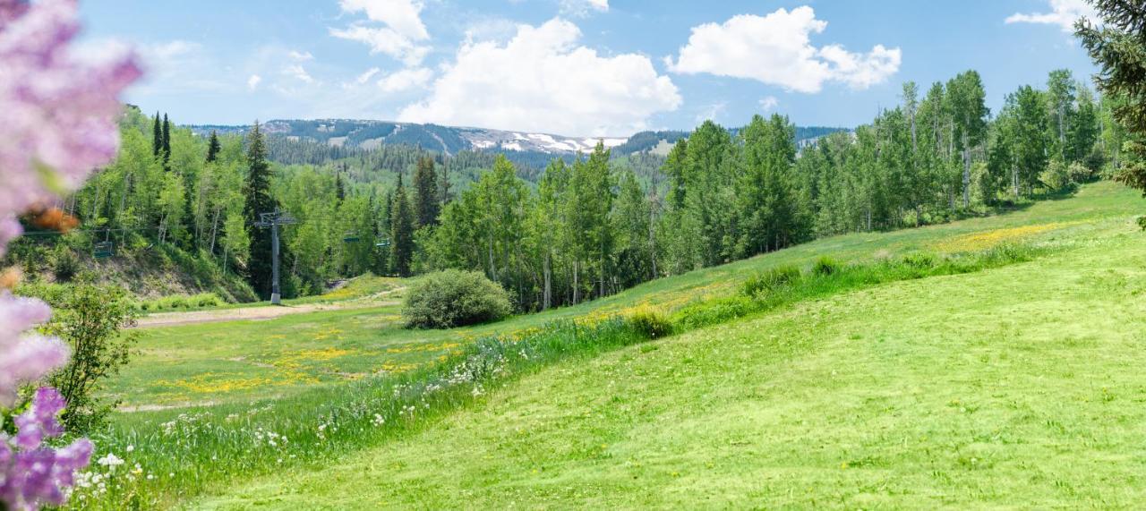 Laurelwood Condominiums 110 Snowmass Village Exteriör bild